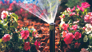 Vaderiego | Sistemas de Riego y Formación Sistemas de Riego y Formación